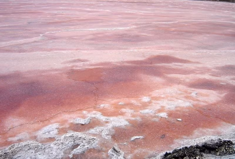 Hồ Magadi có nước nhuốm màu đỏ thực chất là một hồ nước mặn trải dài trên diện tích khoảng 100 km2.