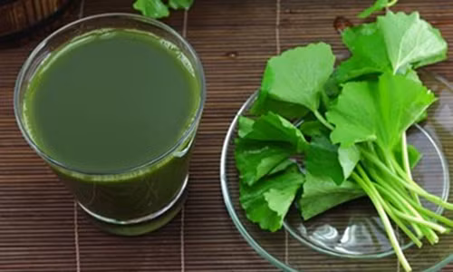 Những cách uống nước rau má sai lầm có thể chết người Nhung cach uong nuoc rau ma sai lam co the chet nguoi