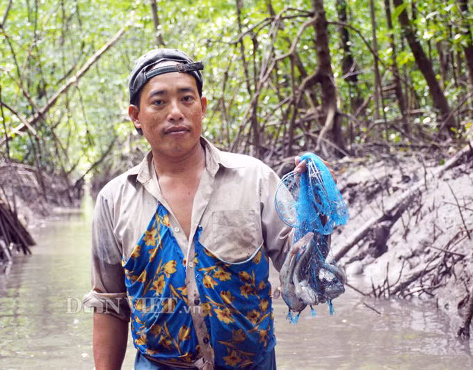 Tho san khet tieng ke chuyen san loai ca ky la nhat hanh tinh-Hinh-11