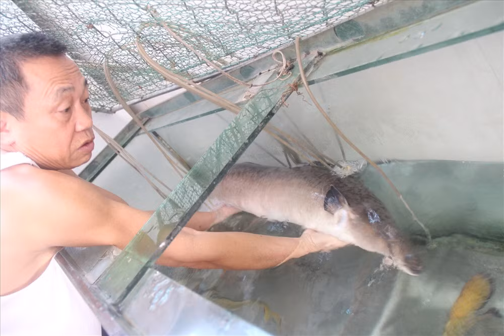 Ca chinh khung dinh luoi ngu dan song Lam
