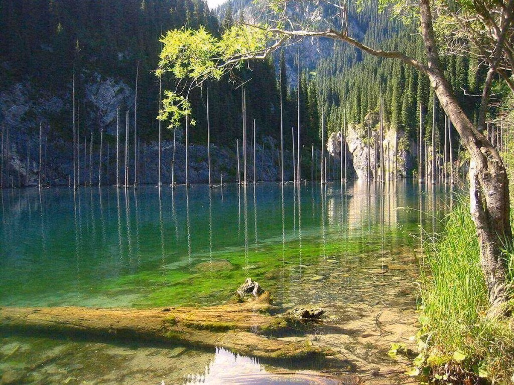 7. Rừng dưới nước ở hồ Kaindy, Kazakhstan Hồ Kaindy dài 400 mét ở Kazakhstan, dưới chân dãy núi Tian Shan, nằm cách thành phố Almaty 129 km. Hồ được tạo ra như là kết quả của một vụ lở đá vôi khổng lồ sau trận động đất Kebin. Vẫn chưa lý giải được vì sao, nhiều cây rừng mọc tràn ngập và sinh sôi nảy nở tốt trong lòng hồ này.