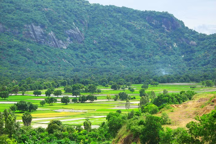 Bảy Núi gồm: Núi Cấm (Thiên Cấm Sơn), Núi Dài Năm Giếng (Ngũ Hồ Sơn), Núi Cô Tô (Phụng Hoàng Sơn), Núi Dài (Ngọa Long Sơn), Núi Tượng (Liên Hoa Sơn), Núi Két (Anh Vũ Sơn), Núi Nước (Thủy Đài Sơn). Thiên Cấm Sơn là đỉnh cao nhất.