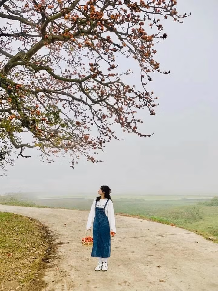 Ảnh: PHẠM BÍCH