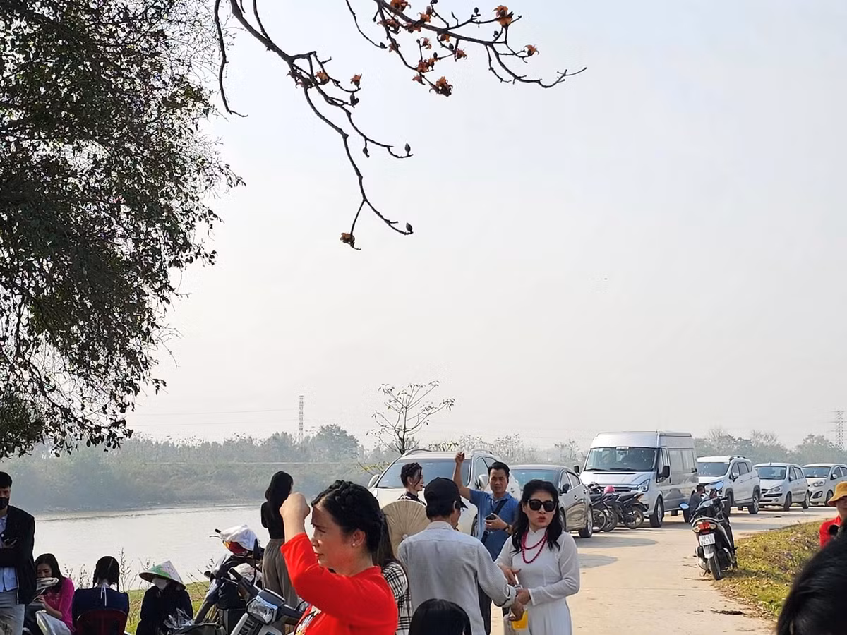 Xe cộ của khách du lịch đậu kín triền đê sông Thương.