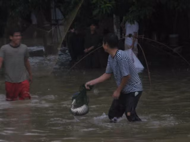 Thanh niên bắt cá ngay trên đường phố Hà Đông.