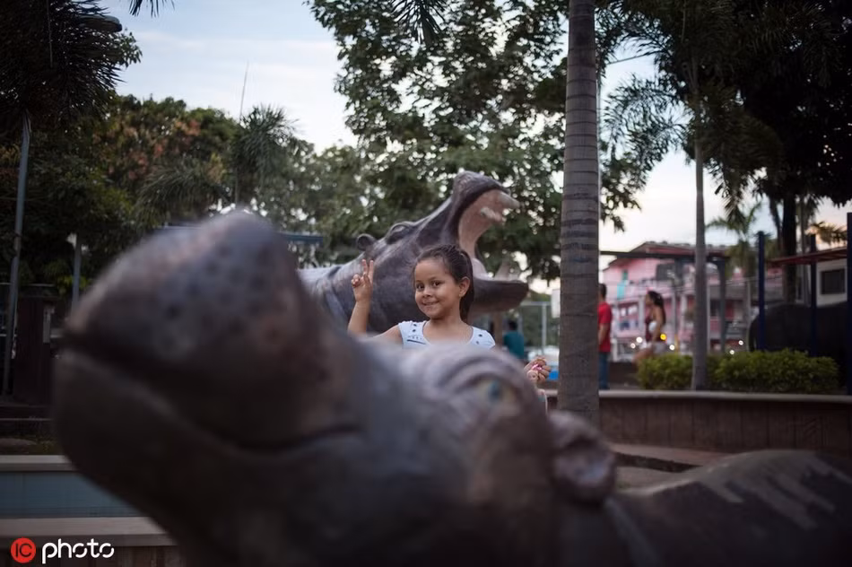 Hà mã lang thang khắp nơi, dọa người dân sợ khiếp vía - Hình 3 Ha ma lang thang khap noi, doa nguoi dan so khiep via-Hinh-3