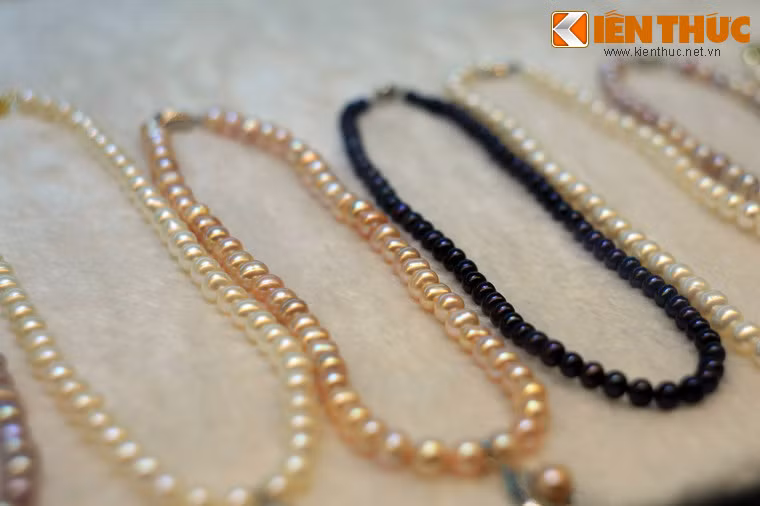 Đắt đỏ nhất phải kể đến những chuỗi ngọc trai vàng hoặc đen. Giá thành mỗi chuỗi hạt loại có thể lên đến cả trăm triệu đồng.