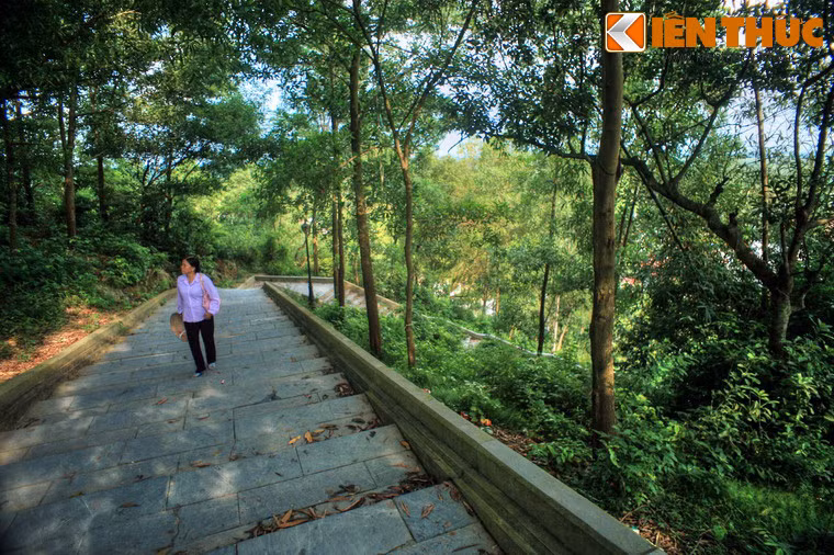 Chùa có tên chữ là Sùng Thiện Diên Linh, được xây dựng vào thời Lý, dưới triều vua Lý Nhân Tông ( khoảng năm 1121). Tương truyền, dưới thời Lý chùa mang tên là Long Đội Sơn, đến thời Hậu Lê đổi tên là Đọi Sơn.