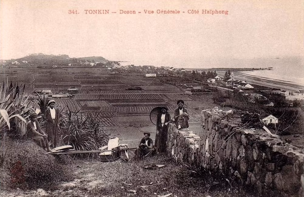Một góc Đồ Sơn với các cánh đồng lúa.