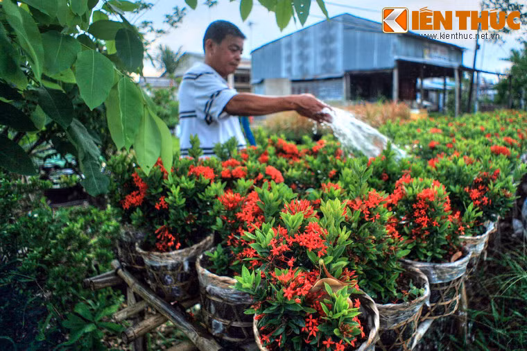 Nằm ở xã Tân Quy Đông, thành phố Sa Đéc, tỉnh Đồng Tháp, làng hoa Tân Quy Đông hay còn gọi là làng hoa Sa Đéc được mệnh danh là xứ sở của các loài hoa kiểng ở khu vực Nam Bộ.