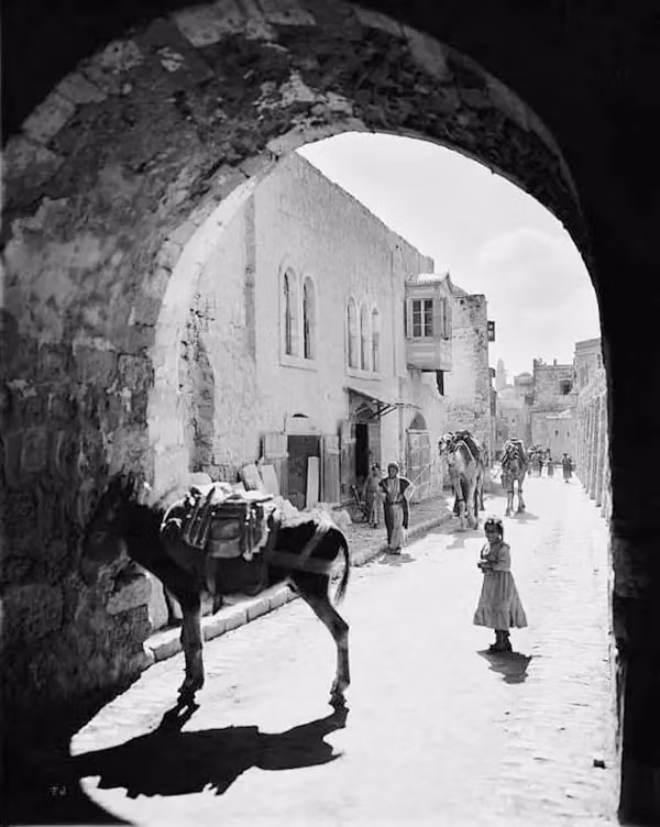 Vào thế kỷ 20, lừa được nhiều người dân ở Jerusalem sử dụng để di chuyển, vận chuyển hàng hóa.