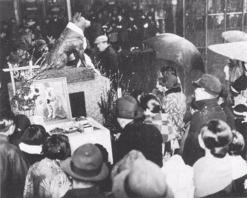 Mọi việc cứ thế trôi qua cho đến một ngày của tháng 5/1925. Vào ngày hôm đó, giáo sư Hidesaburo lên tàu điện ngầm đi làm như mọi khi và chú chó Hachiko đợi chủ ở bên ngoài nhà ga.