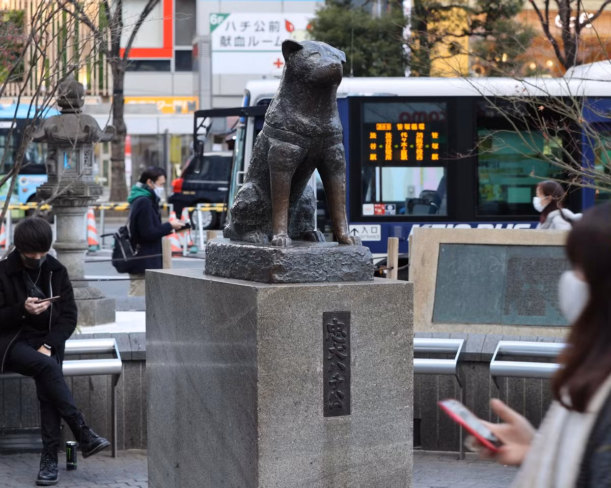 Sau 9 năm, 9 tháng 15 ngày mong ngóng giáo sư Hidesaburo bước ra khỏi nhà ga nhưng không thấy, Hachiko từ giã cõi đời ngày 8/3/1935.