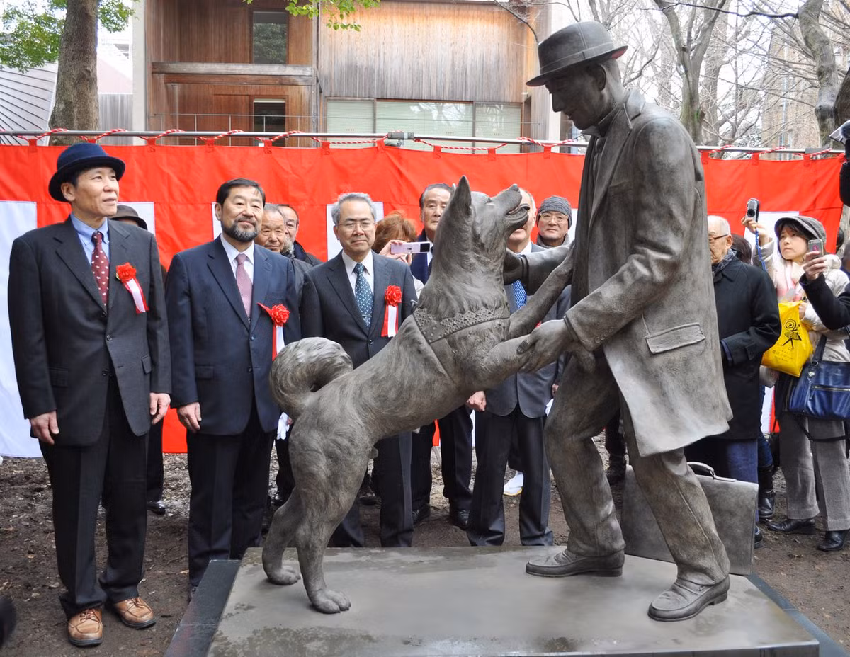 Hachiko là giống chó Akita có bộ lông màu vàng nâu. Nó sinh năm 1923 và sống trong một nông trại gần thành phố Odate, tỉnh Akita. Sau đó, giáo sư Hidesaburo Ueno công tác tại Đại học Hoàng gia Tokyo nhận nuôi Hachiko và mang tới sống tại ngôi nhà gần ga Shibuya.