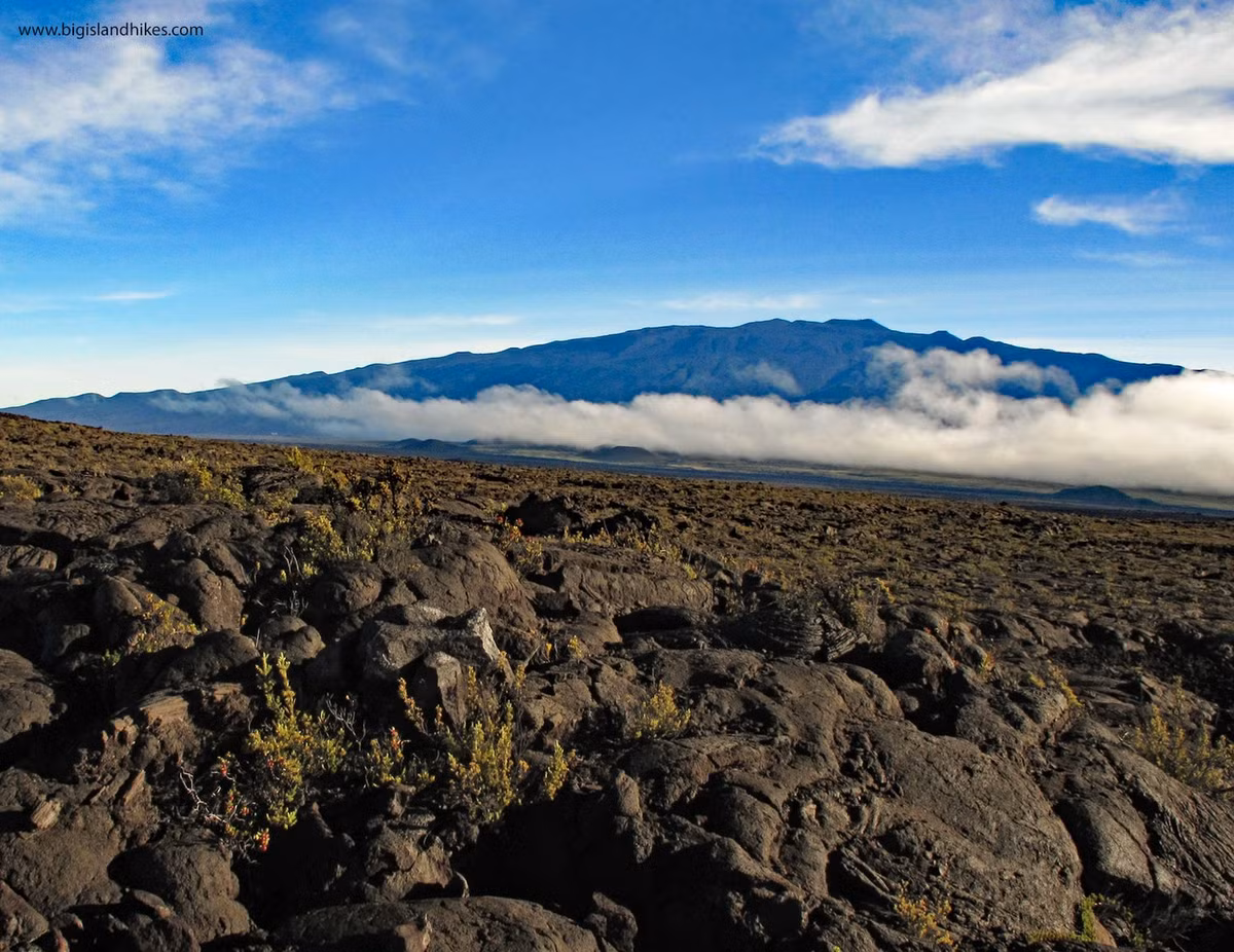 Thậm chí, Mauna Kea còn được cho là tạo nên nền tảng của sự sống. Vì vậy, Mauna Kea được xem là ngọn núi thiêng liêng và là biểu tượng tôn giáo quan trọng của người Hawaii bản địa. Nơi đây cũng được xem là “cửa ngõ vào thiên đường”. Ảnh: bigislandhikes