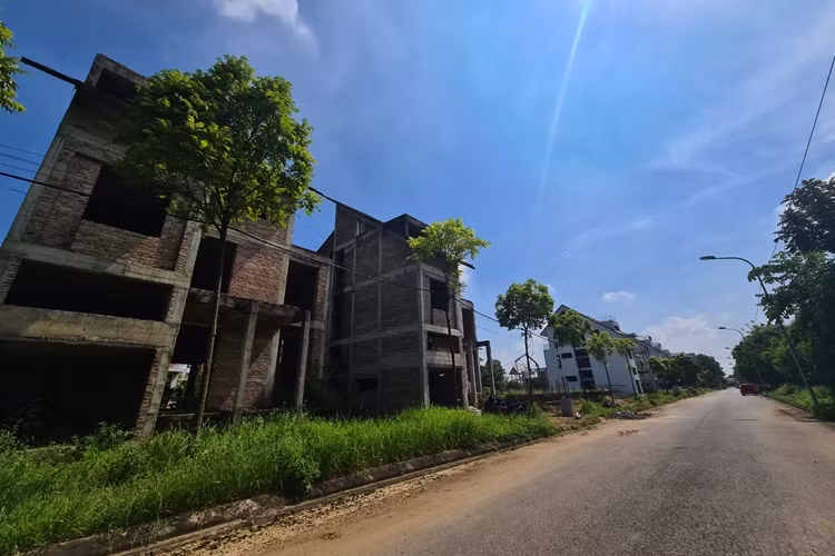 Ngôi Nhà Mới của Tập đoàn Lã Vọng dự kiến sẽ trở thành quần thể gồm: Các nhà biệt thự, chung cư, trường học, trung tâm thương mại, trạm xá, hồ sinh thái, công viên cây xanh, khu dịch vụ tập golf, trạm xăng.