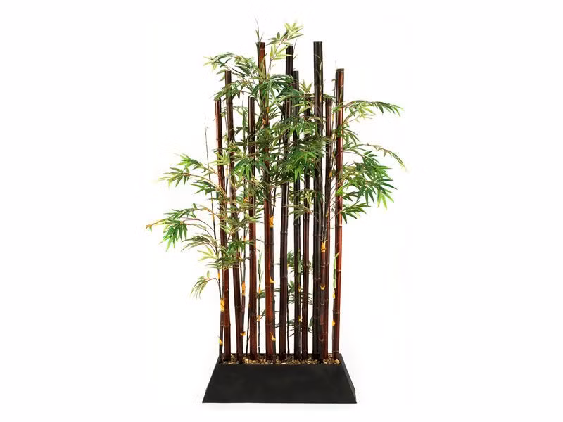 Còn bụi tre gồm 6 cây sẽ thu hút sự may mắn, thịnh vượng và hút tiền bạc cho gia chủ.