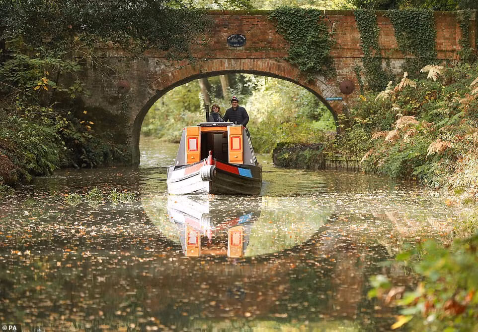 Lá vàng rơi trên kênh Basingstoke gần Dogmersfield ở Hampshire.
