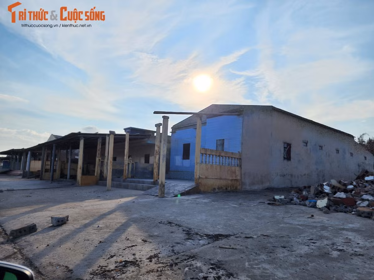 Tại Hội nghị tổ chức ngày 29/6/2021 của Công an tỉnh Nam Định, chính quyền địa phương thừa nhận kể từ khi được thành lập (năm 1997) đến nay, tệ nạn mại dâm diễn ra phổ biến, công khai, phức tạp tại Khu du lịch Quất Lâm.