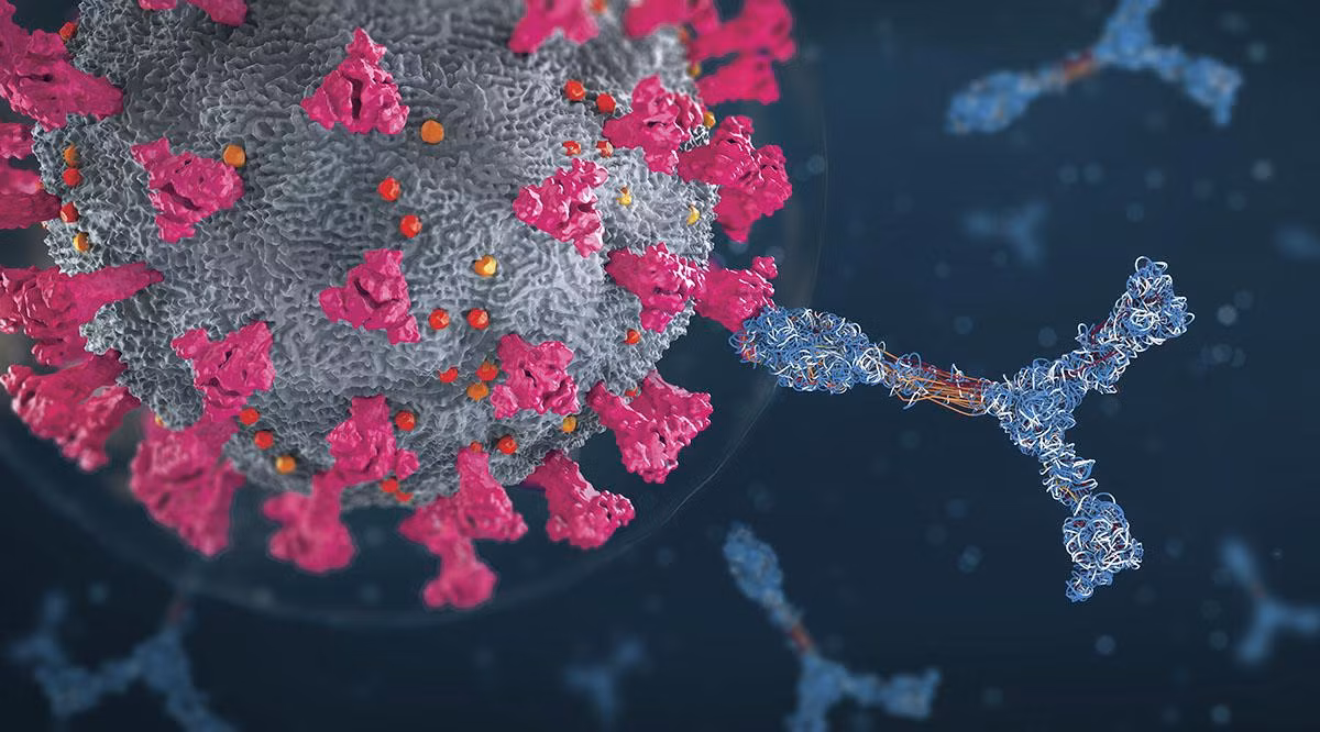 Cơ chế hoạt động của vắc xin mRNA lại hoàn toàn khác. Thay vì dùng mầm bệnh giảm độc tính hoặc bị xử lý bất hoạt để "huấn luyện" cơ thể ngăn chặn sự lây nhiễm, các nhà nghiên cứu đã sử dụng phân tử mRNA đã được thay đổi mã di truyền thay vì mầm bệnh.