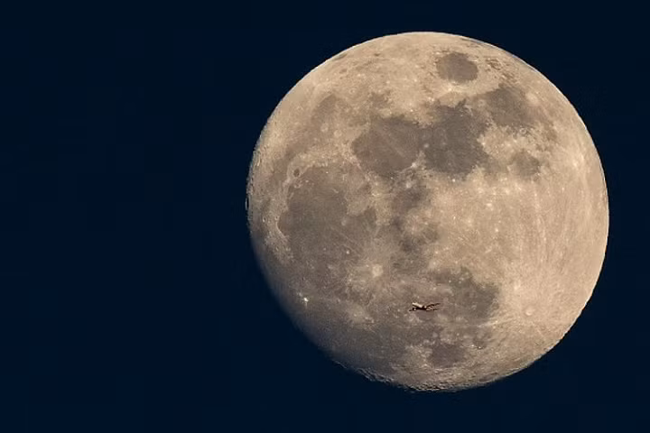 2 hành khách được du hành Mặt Trăng năm 2018 là ai? - Hình 2 2 hanh khach duoc du hanh Mat Trang nam 2018 la ai?-Hinh-2