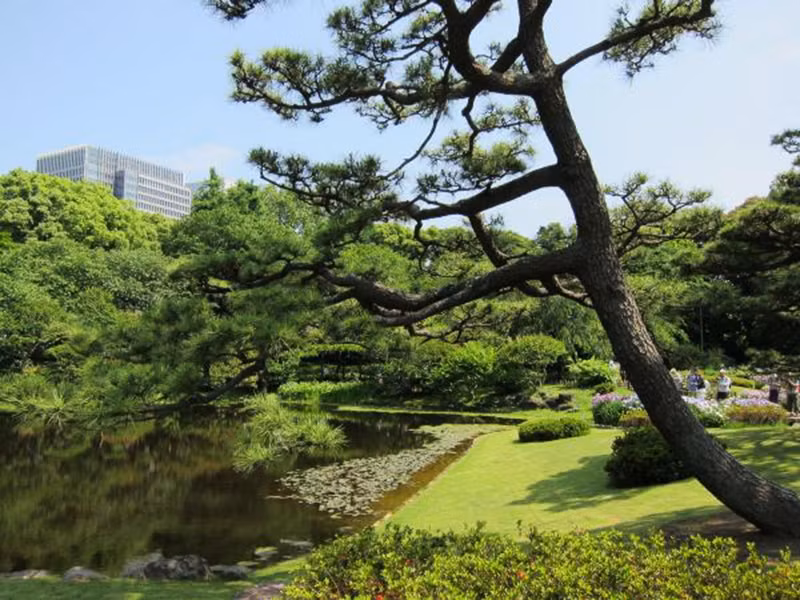 Hàng cây đưa không gian xanh chốn núi rừng về Hoàng cung. Ảnh: Japan.