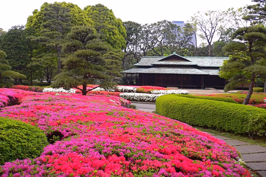 Tất cả đều được cắt tỉa, gọn gàng, đẹp mắt. Ảnh: Japan Time.