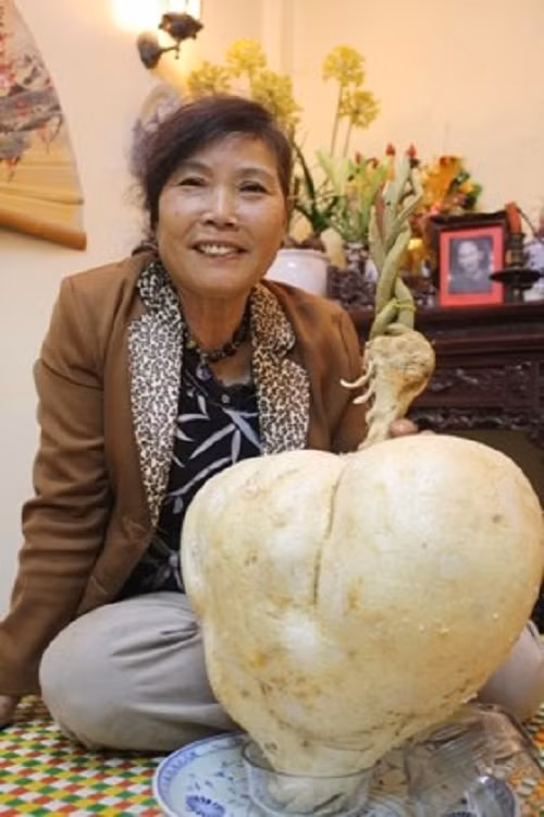 Củ đậu hình trái tim nặng 13,5kg cũng gây bất ngờ cho nhiều người. Chủ nhân là bác Nguyễn Thị Ngọc, sống tại ngõ 12 đường Hàm Nghi, Cầu Diễn, Hà Nội. Ảnh: ANTĐ.
