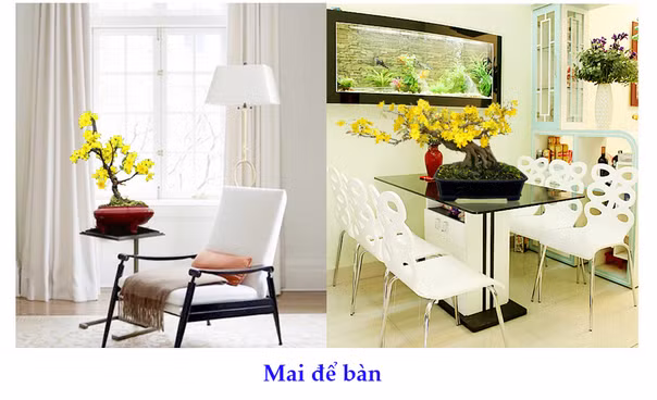 Ngày Tết của mỗi gia đình ở miền Nam không thể thiếu một chậu mai vàng. Hoa mai tượng trưng cho hy vọng, sự giàu sang phú quý, hợp với niềm hân hoan đón của lòng người. Ảnh: Saigonhoa.
