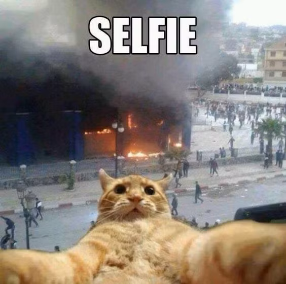 Để có bức ảnh selfie cực độc, cần phải liều một chút. Ảnh: Printest.