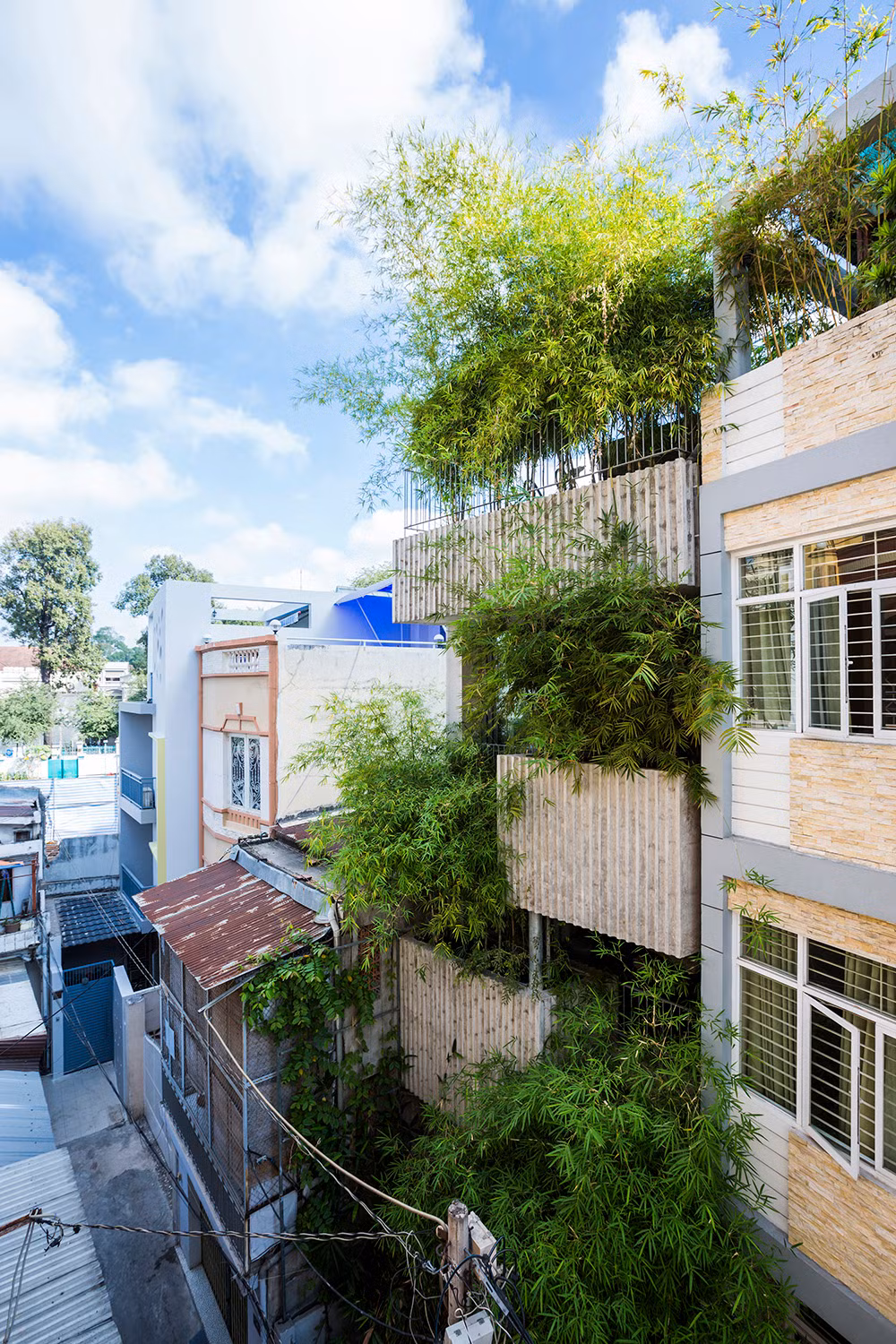 Được thiết kế theo dạng nhà ống, "Bamboo House" đặc biệt ấn tượng với các bồn tre trước mặt tiền.