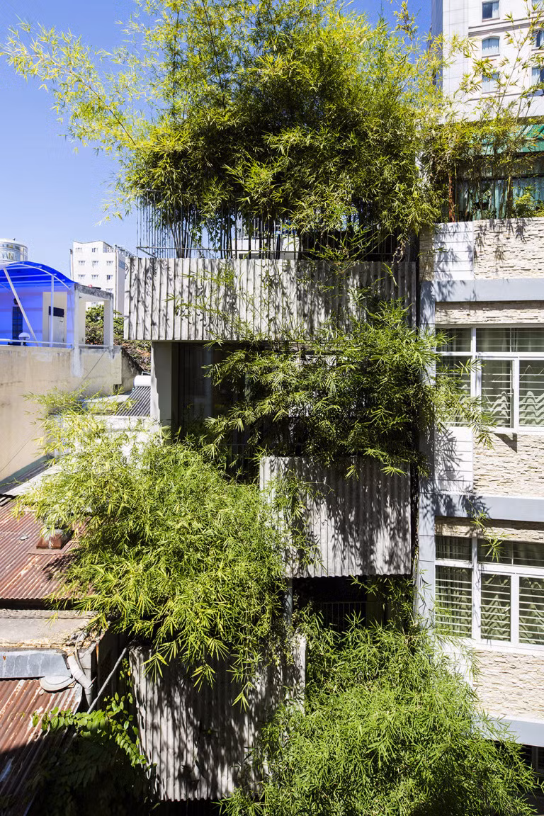 "Bamboo House" là dự án nhà ở nằm trong một con hẻm tại TP HCM. Dự án nằm trong loạt thiết kế nhà ở cung cấp không gian xanh tại khu vực có mật độ dân cư đông đúc.