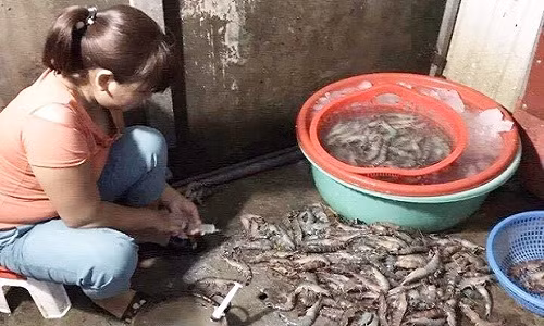 Kinh hai canh dung kim tiem bom tap chat vao tom o Ha Noi-Hinh-2