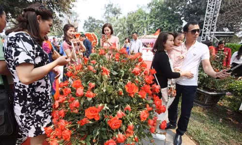 Bao cao “khach han hoan“, BTC le hoi Hoa hong coi thuong du luan?