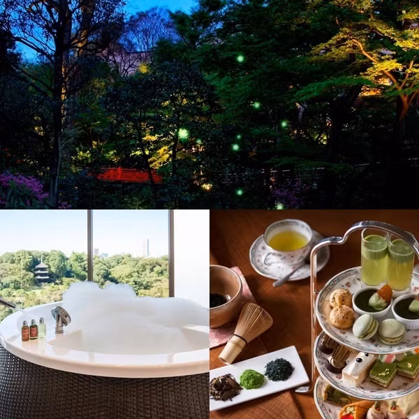 Chinzanso được biết đến là khách sạn có khuôn viên ngắm đom đóm đẹp nhất Tokyo. Nếu tới đây vào giữa tháng 6 đến đầu tháng 7, du khách sẽ được tham gia lễ hội “Hotaru no Yube” ngay trong khách sạn. Bạn có thể thưởng thức những vật phẩm đặc biệt chào mừng mùa đom đóm như thịt bò nướng, bào ngư, xà lách, đồ uống và nhiều hơn nữa. Dạo quanh vườn khách sạn để chiêm ngưỡng những con đom đóm nhảy múa là trải nghiệm không thể bỏ qua.