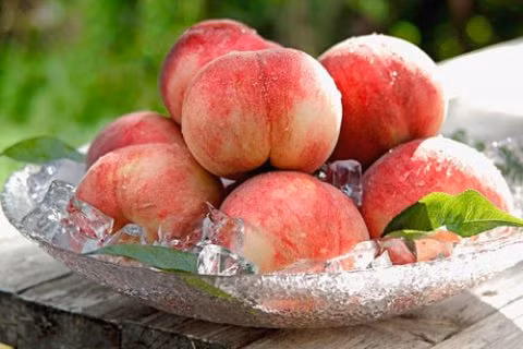 Để phân biệt, người mua cần chú ý về kích thước, đào Trung Quốc quả to, màu sắc đẹp, vỏ láng mịn, ít lông, hoặc không có lông. Khi ăn, đào Trung Quốc có cùi xốp và nhạt. Ảnh: Dân Việt.