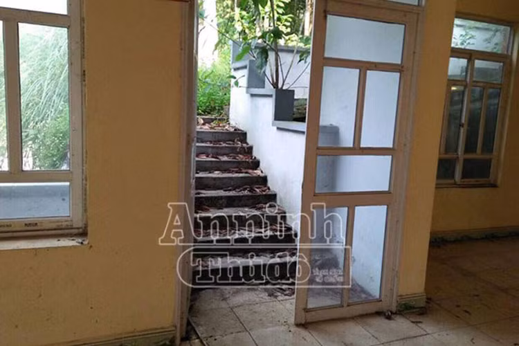 Tường bong tróc, cửa kính sập sệ và cầu thang ra vào lá rụng phủ dầy.