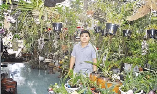 Ty phu lan rung Viet Nam tim ra loai lan moi