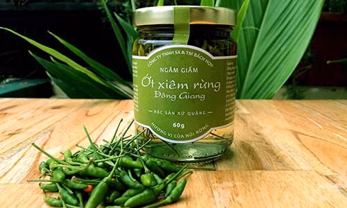 Thấy ớt rừng giá cao, nhiều người mang về trồng trong vườn nhà. Ớt cho quả to hơn nhưng chất lượng kém xa cây ớt mọc tự nhiên. Ảnh: Hatgiongf1.