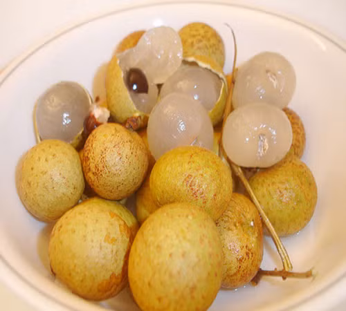 Quả nhãn Ido được thị trương ưa chuộng bởi chất lượng tốt, dày cơm, trái to. Ảnh: Caygiongduyhien.