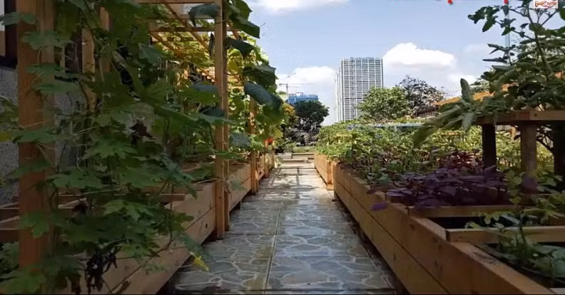Hàng rau bằng thùng gỗ chắc chắn khiến nhiều người ngưỡng mộ.