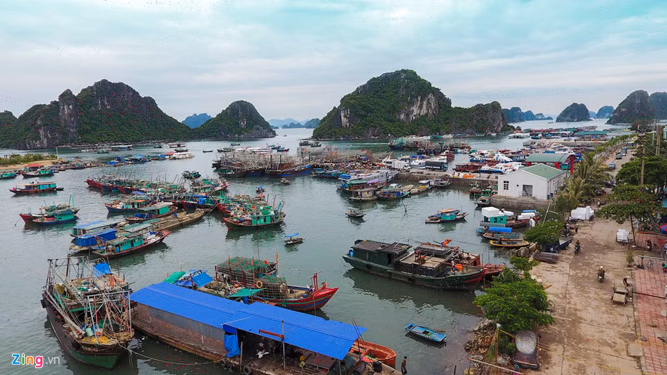 Đến năm 1993, Nhà nước bắt đầu có chủ trương xây dựng cảng Cái Rồng với cầu cảng kiên cố. Cầu cảng dài 108 m, rộng 6 m, tổng diện tích vùng nước cảng là 2.200 m2.