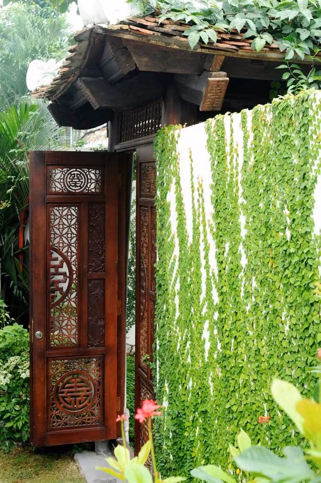 Không gian xanh mát như một khu rừng thu nhỏ. Ảnh: VTC.