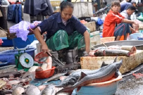 Ca Trung Quoc "ngam" hoa chat kich thich ban tai Viet Nam-Hinh-2