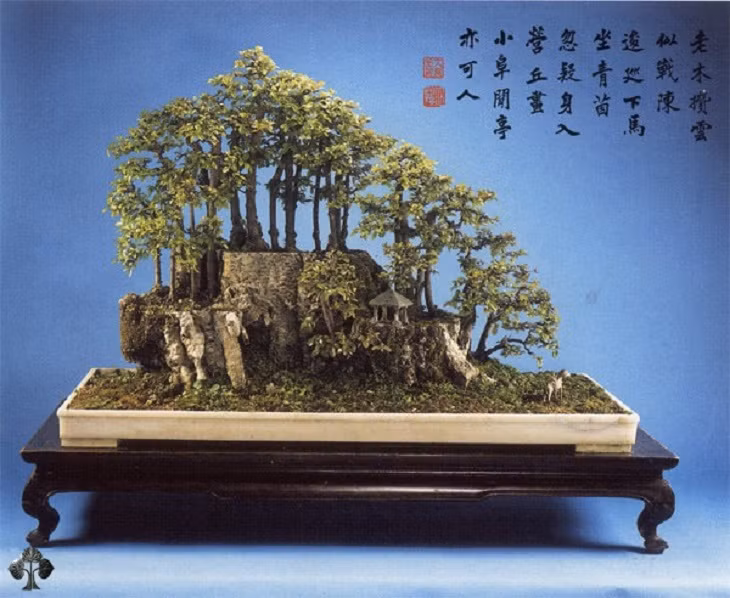 Bonsai cảnh quan tuyệt đẹp ở Trung Quốc.