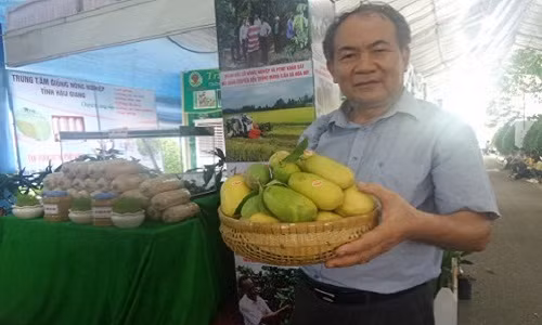 Ngo ngang chanh “la” dai nhu qua ca tim o Hau Giang