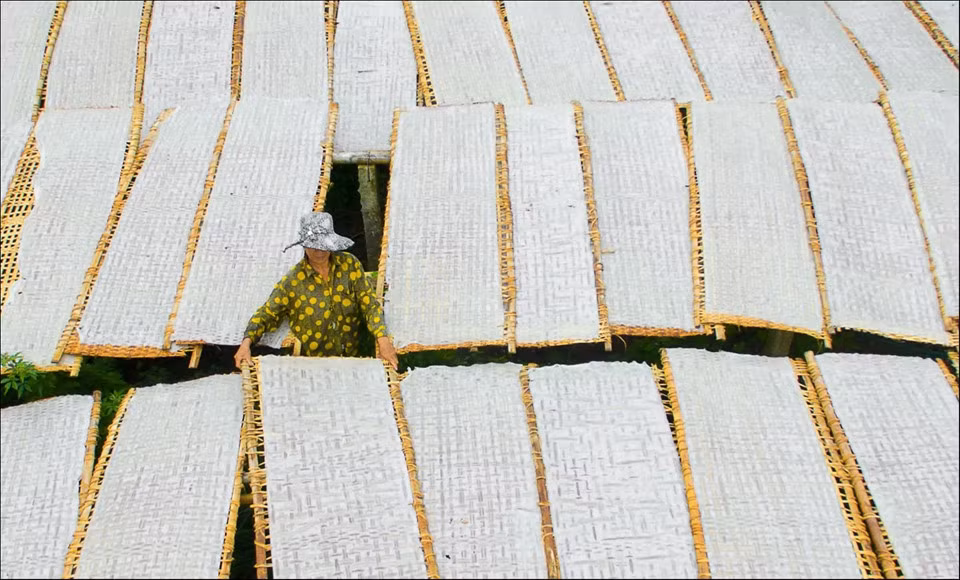 Một người nông dân ở làng Mỹ Lồng (thuộc xã Mỹ Thạnh, huyện Giồng Trôm, tỉnh Bến Tre) đang sản xuất loại bánh tráng đặc sản của nơi đây. Người dân địa phương tiết lộ chất lượng bánh tráng Mỹ Lồng cao hơn các vùng khác vì gạo mềm đặc biệt và dừa chất lượng cao, chỉ có thể tìm thấy trong khu vực. Ảnh: Thái Dương Lê.