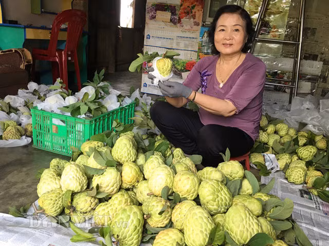 Ngo ngang vuon mang cau na “sieu qua” to bang chen com-Hinh-2