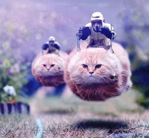 Thông qua kỹ thuật xử lý, bức ảnh photoshop này biến chú mèo thành phi thuyền trên không trung. Ảnh: Reddit.
