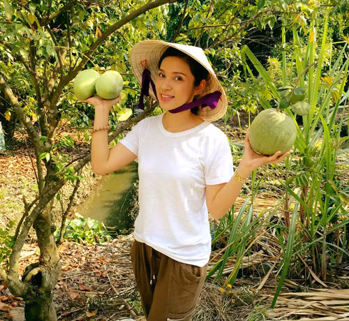 Da mat ngam vuon trai cay triu qua trong nha sao nu Viet